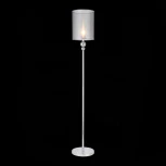 Торшер Evoluce Pazione SLE107105-01