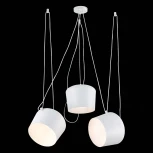 Подвесной светильник Evoluce Trieste SLE120653-03 (220V)