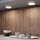 Точечный светильник накладной APL LED Ingrid 3322.LDY6004M/6W/4K (220V, круглые, IP40)