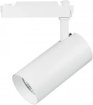 Трековый светильник Lightstar Fuoco 218246 (LED, 220V, круглые)