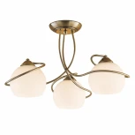 Потолочная люстра Citilux Лайма CL155133 (220V)