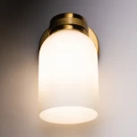 Бра Freya Kamelia FR5446WL-01BS (220V)