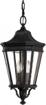 Подвесной уличный светильник Feiss FE-COTSLN8-M-BK (220V, на цепи, IP23)