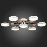 Потолочная люстра на штанге Evoluce Faema SLE6006-502-07 (LED, 220V, круглые)