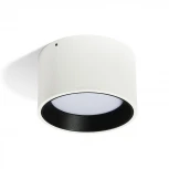 Накладной светильник White RAUMBERG 62E911Wh (LED, 220V, круглые)