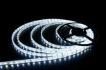 Светодиодная лента Ledcraft LC-3528-W-12W60