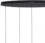 Подвесной светильник Lumien Hall Danay LH8027/5P-BK-PBK