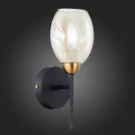 Бра Evoluce Gloa SLE155501-01