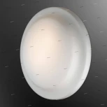 Настенно-потолочный светильник Odeon Light Tavoy 2760/2C