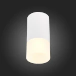 Точечный светильник ST Luce St100 ST100.512.01 (220V, круглые)