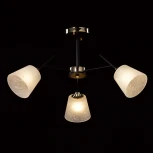 Потолочная люстра на штанге De City Альфа 324015903 (220V)