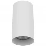 Накладной точечный светильник Lightstar Rullo 216486 (220V)