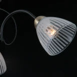 Потолочная люстра на штанге ILLUMICO IL0198-3CSQ-79 BK AB