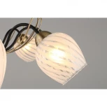 Потолочная люстра Omnilux 655 OML-65507-08