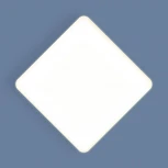 Потолочный светильник Elektrostandard DLS043 / DLR043 (LED, 220V)