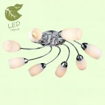 Потолочная люстра Lussole Lgo Jonesboro GRLSP-0134