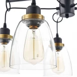 Подвесная люстра Freya Louise FR4167-PL-05-BL