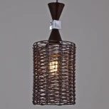 Подвесной светильник Reluce 04570-0.4-01 CF (220V, на проводе)