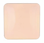 Потолочный светильник светодиодный Lassy 48406-24 Globo (220V)