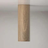 Потолочный светильник круглый DeMarkt Иланг 712010501 (LED, 220V)