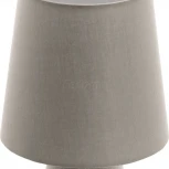 Интерьерная настольная лампа Eglo Carpara 97124