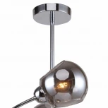 Потолочная люстра F-Promo Rimula 2342-8P