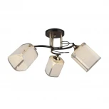 Потолочная люстра Wedo Light Sayn 66141.01.69.03