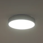 Потолочный светильник круглый светодиодный Zortes Tortty ZRS.02565.36 (220V, круглые, IP21)