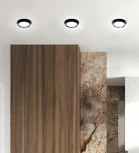 Точечный встраиваемый светильник Favourite Vasto 4538-1C (220V, круглые)