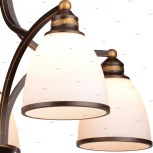 Подвесная люстра Arte Lamp Bonito A9518LM-5BA