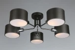 Потолочная люстра Omnilux Liser OML-54507-05 (220V)
