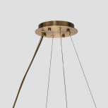 Подвесная люстра Favourite Glans 4303-12P (220V, на тросе)