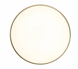 Потолочный светильник круглый со спотами Zortes Gabby ZRS.90610.50 (LED, 220V, круглые)