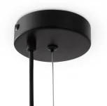 Подвесной светильник Freya Evidence FR5372PL-05B (220V, на тросе)