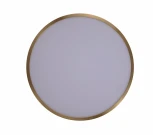 Потолочный светильник Zortes Monna ZRS.1209.10