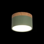 Накладной светильник Grape 10162 Green (LED, 220V, круглые)