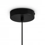 Подвесной светильник Freya Irisa FR5593PL-01B