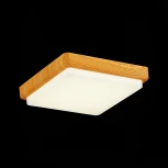 Потолочный светильник Evoluce Taddio SLE200202-01