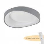 Потолочный светодиодный светильник круглый MyFar Diona MR9190-CL (регулировка яркости, 220V, пульт управления, круглые)