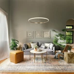 Подвесной светильник Eurosvet Collars 90264/1 латунь (регулировка яркости, LED, 220V, пульт управления, на тросе, кольцо)