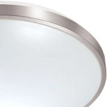 Настенно-потолочный светильник Sonex Lota Nickel 2088/CL