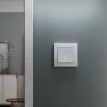 Выключатель одноклавишный с подсветкой (белый матовый) Werkel W1110161 (a059270)