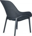 Кресло DOBRIN LONZO (антрацит (GR-12) с УФ-защитой)