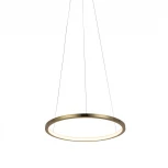 Подвесной светильник Loft IT Ring 10014S (LED, 220V, на тросе, кольцо)