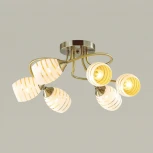 Потолочная люстра Lumion Dorothy 4528/6C