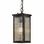 Уличный светильник подвесной Elektrostandard Lame GL 1006H (220V, на цепи, IP33)