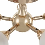 Потолочная люстра на штанге Arte Milano Napoli-2420 332420/5 FGD (220V)