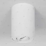 Потолочный светильник круглый Lightstar Binoco 052016 (220V)