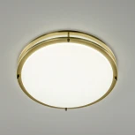 Настенно-потолочный светильник Citilux Бостон CL709503N