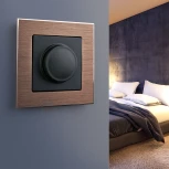 Диммер (черный матовый) W1142008 (a051620)